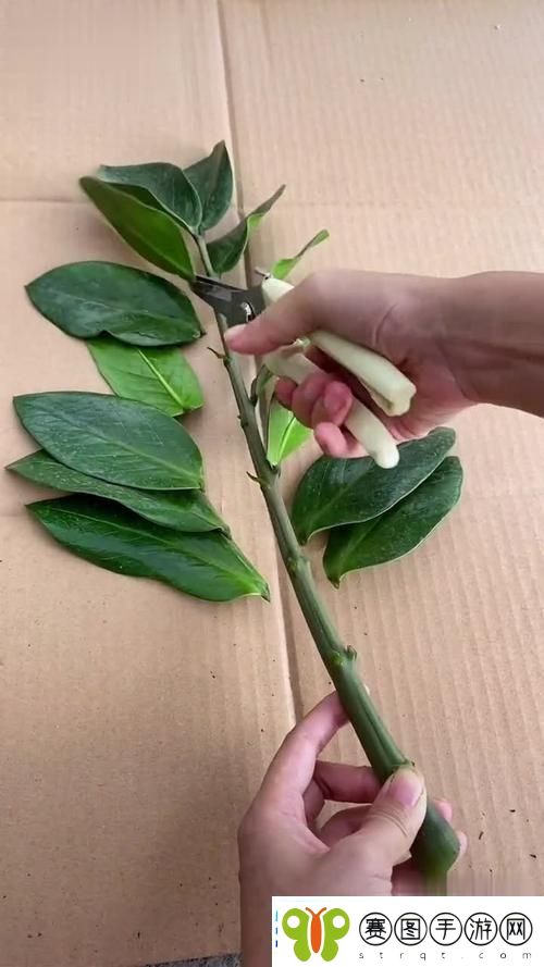 女性坐着扦**b有什么好处网友
