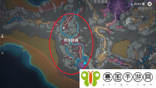 原神层岩菌类调查任务怎么做 原神层岩菌类调查任务完成攻略