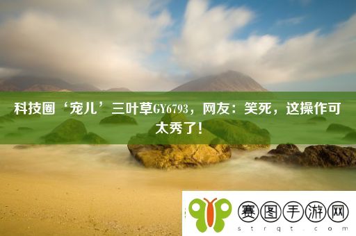 科技圈‘宠儿’三叶草GY6793