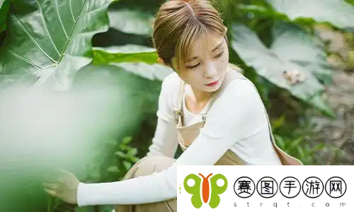 丈夫的女朋友电视剧