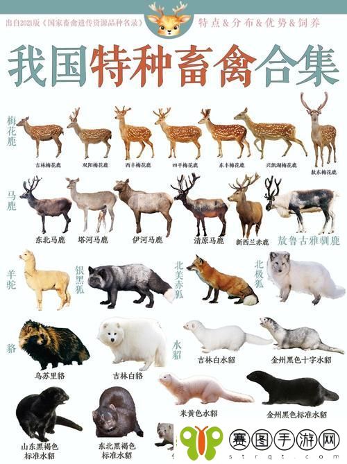 探讨“人狗畜禽COMPANY