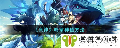 原神鸣草怎么种植 原神鸣草种植方法