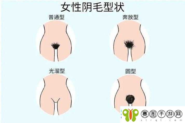 扒开女人的两片毛唇