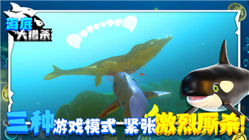 大侠立志传江南怪入队任务怎么做 支线任务完成攻略！