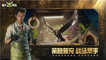 《Dinkum》新手必备：拍照相机获取详解及物品获取全攻略！