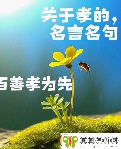 儿子耕种母亲的田地叫什么