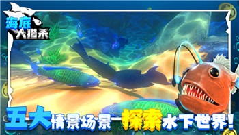 原神双双岛命运之人宝箱解锁指南及谜题解析！