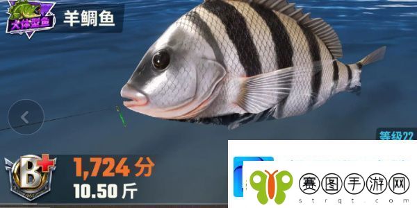 欢乐钓鱼大师鱼类图鉴大全