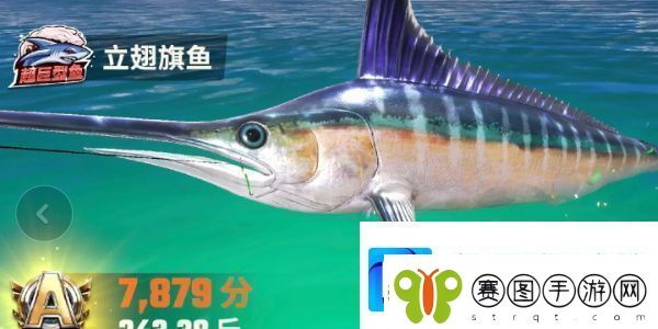欢乐钓鱼大师鱼类图鉴大全