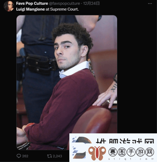 枪杀医保巨头CEO嫌犯颜值出圈
