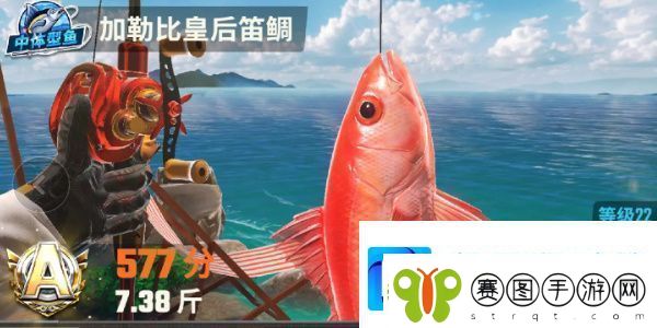欢乐钓鱼大师鱼类图鉴大全