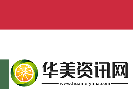 torzsi的明日之星推荐xelex是何许人也