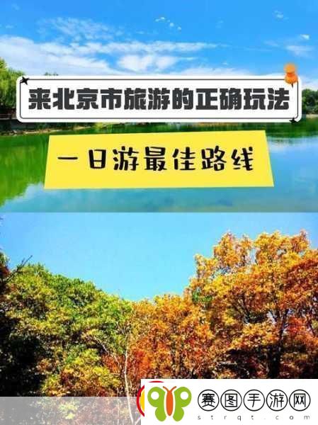 暮夕森林探险指南
