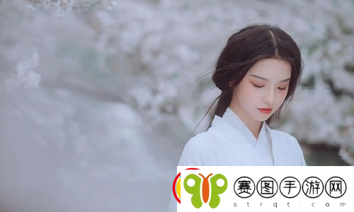 金花瓶楷梅花2正片