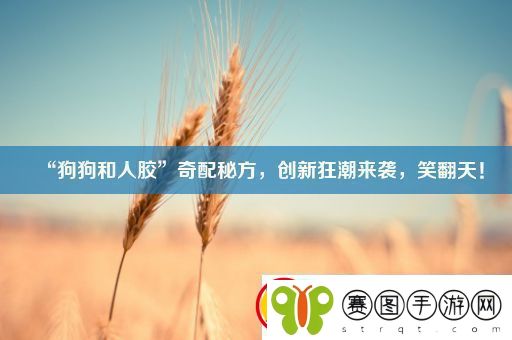 “狗狗和人胶”奇配秘方