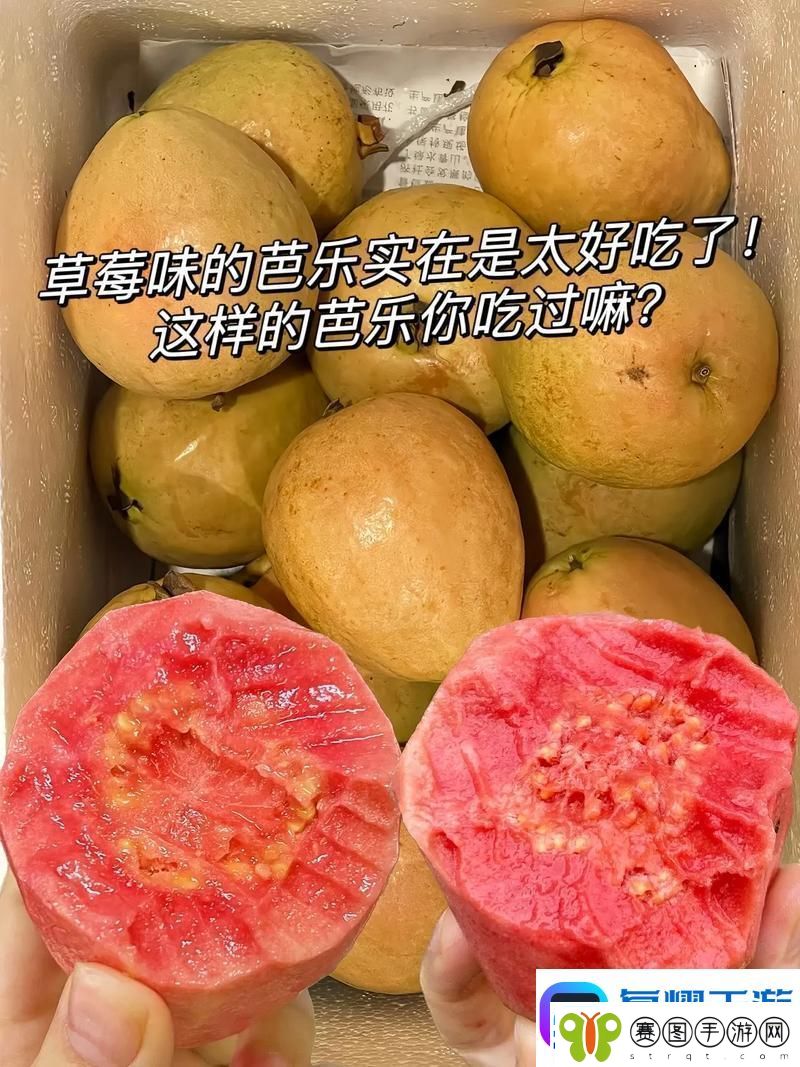“草莓芭乐VS奶油芭乐