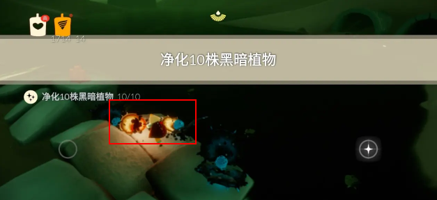光遇8.21任务怎么做