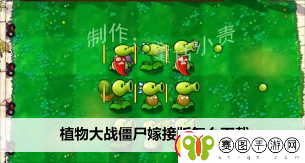 植物大战僵尸嫁接版怎么下载