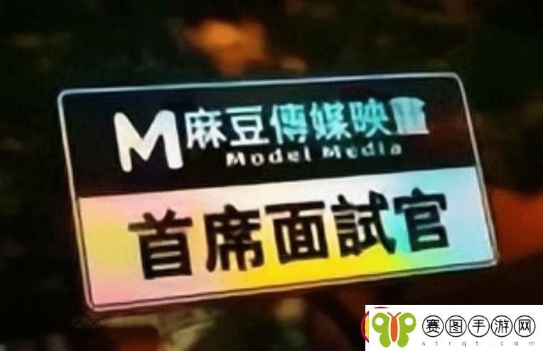 麻豆传媒涉黄案