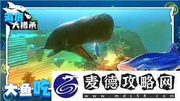 麻布仔大冒险