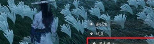 燕云十六声追光的人任务怎么做