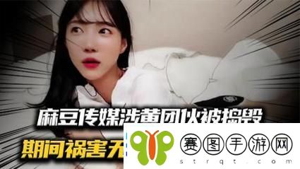麻豆传媒涉黄案