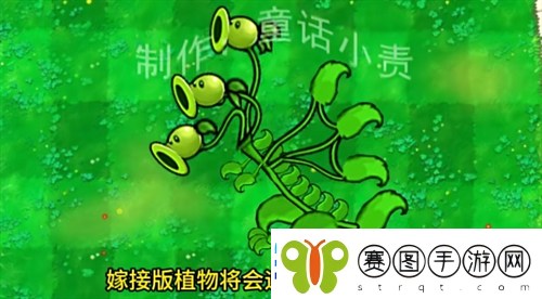 植物大战僵尸嫁接版怎么下载