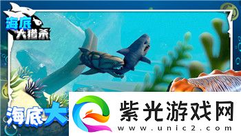 微软飞行模拟40周年纪念版与2020版的深度对比分析！
