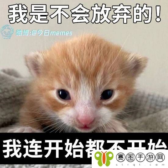 相亲该听爸爸的还是妈**