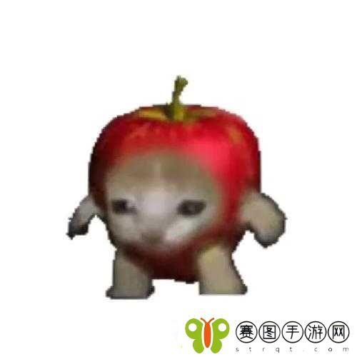 Happy猫表情包资源管理与高效利用策略