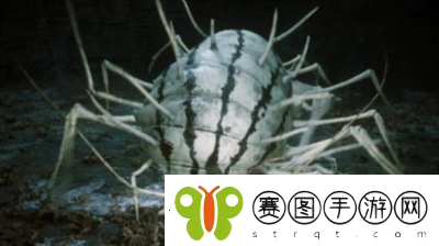 黑神话悟空游戏中有多少个boss