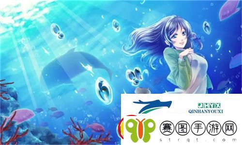 中国高清windows视频软件