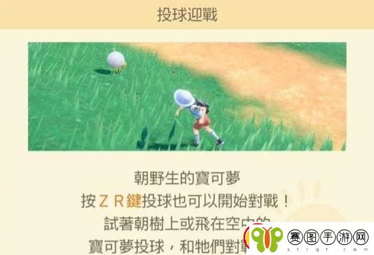 精灵宝可梦GO