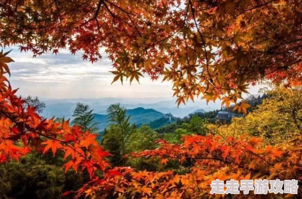 日本一线和三线的区别是什么