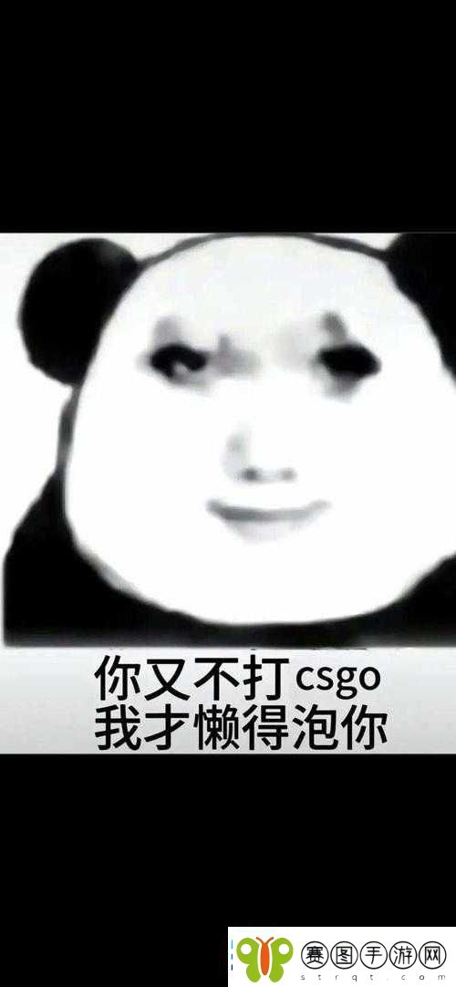 暴躁老姐分享