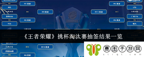 王者荣耀挑杯淘汰赛抽签结果是什么