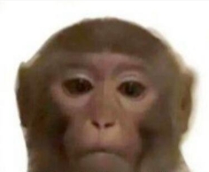 我只有猴当是什么梗络用语