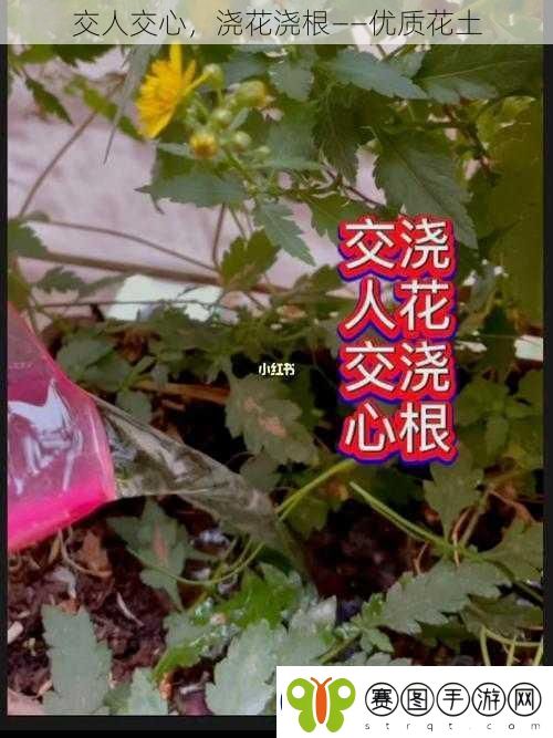 交人交心浇花浇根——优质花土