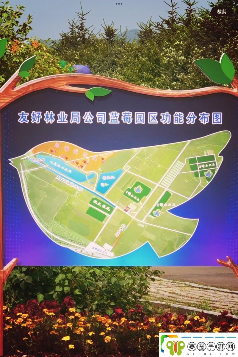 探索自然的奇迹