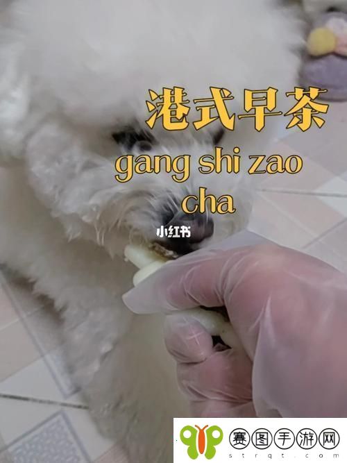 美国人与动物胶配方大全图片友