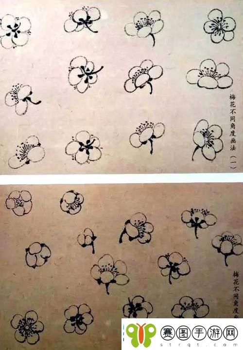 梅花开几度老张周梅细数岁月的情愫与期待