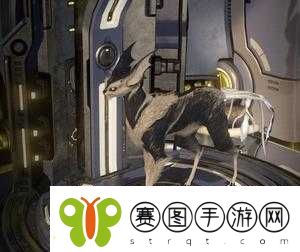 Warframe库娃与星际战甲的猫！