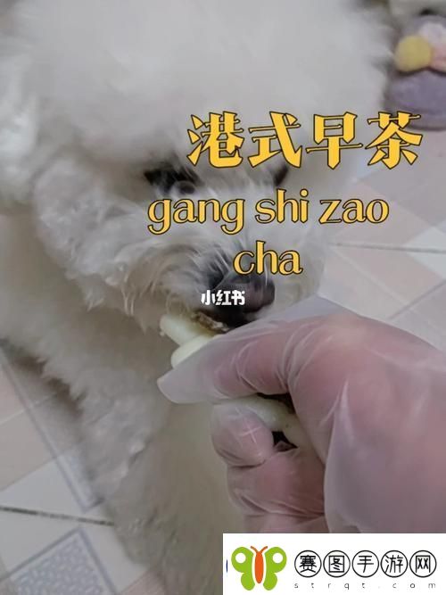 动物胶配方高清视频大全
