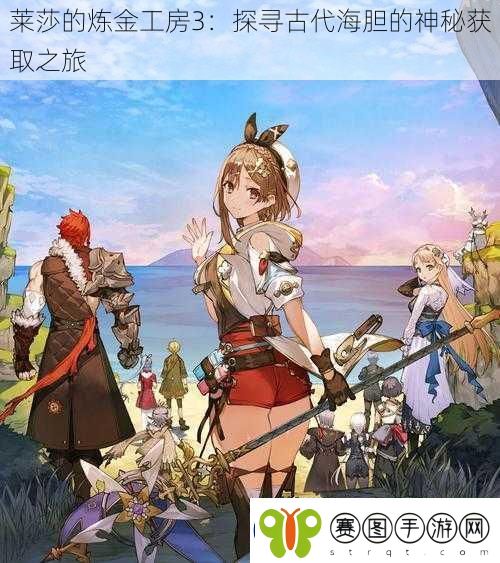 莱莎的炼金工房3
