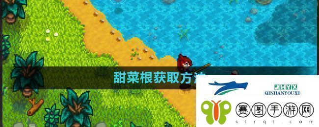 星露谷物语甜菜根如何获取