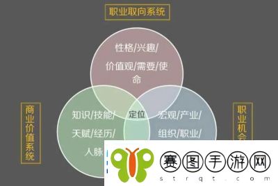 麦芬职业选择指南麦芬的职业生涯如何规划