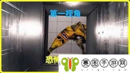 刚入睡感觉巨大的东西在动