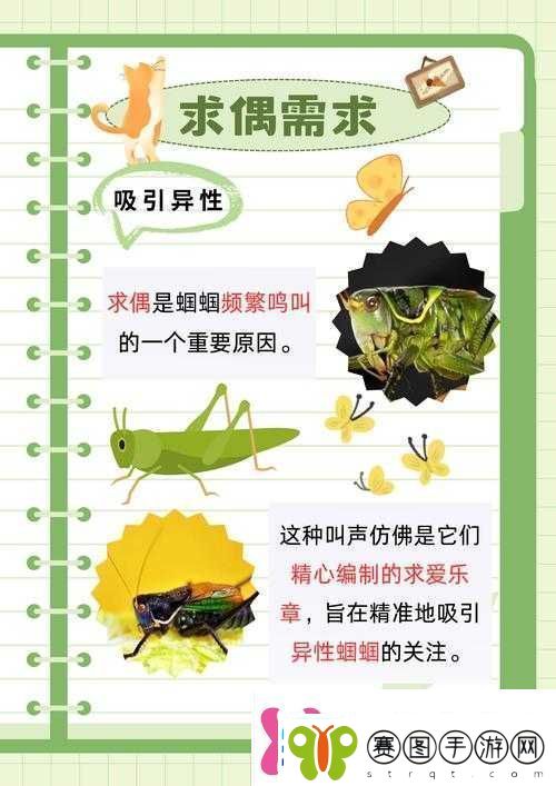 三穴齐开