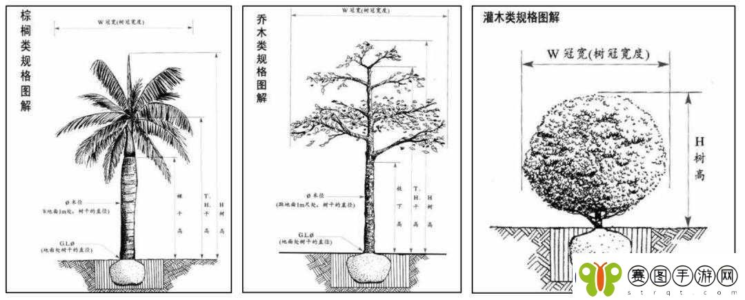 如何开启树上珍贵宝箱的实用方法及技巧探讨