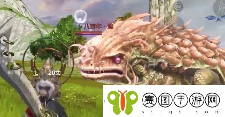 妄想山海蛫脂哪里比较多
